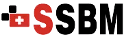 SSBM Online